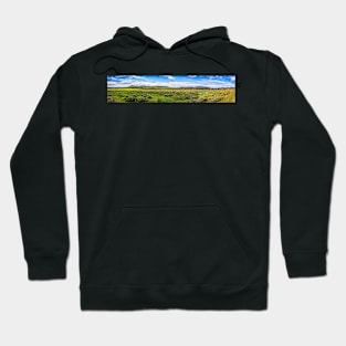 Theodore Roosevelt National Park North Unit Hoodie